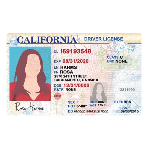California Driver’s License