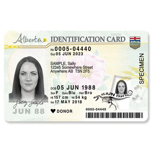 Canadian Driver’s License