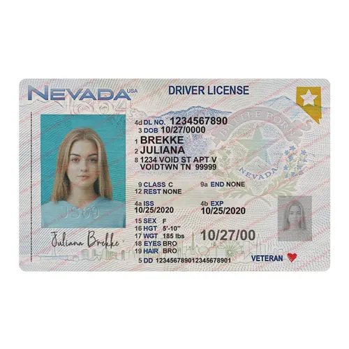 Las Vegas Driver’s License