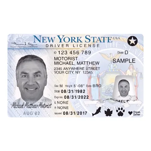 New York Driver’s License