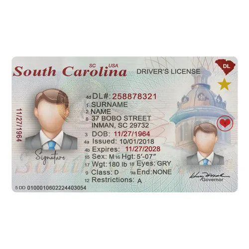 South Carolina Driver’s License